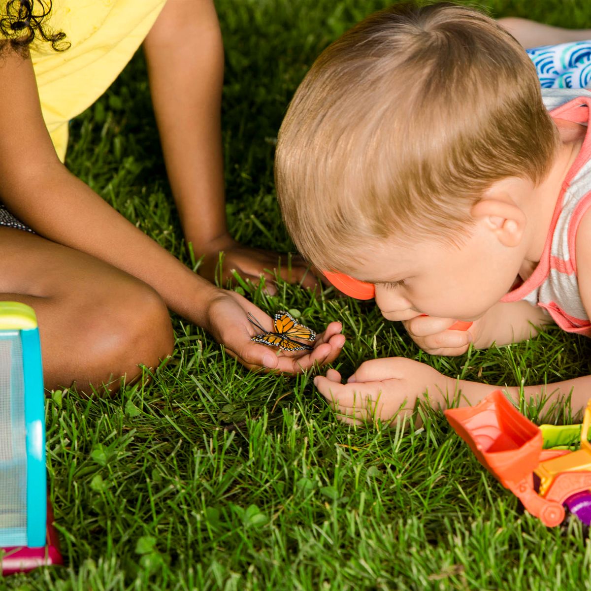 Insect Catching Kit