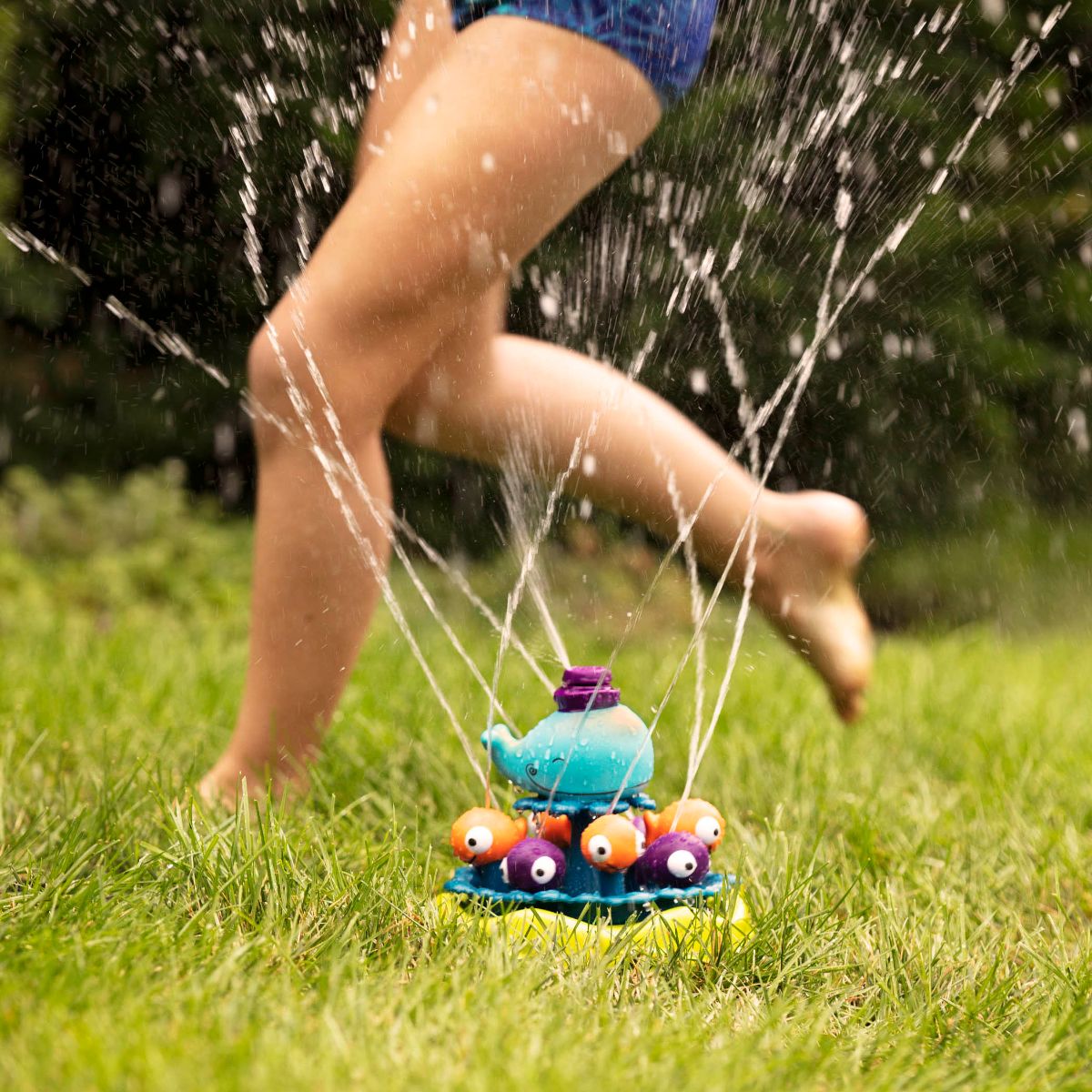 Water Sprinkler